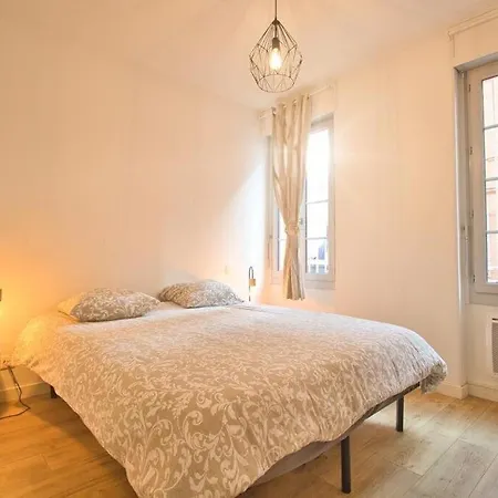 Apartment La Terrasse Centre Gare Wifi T2 Toulouse